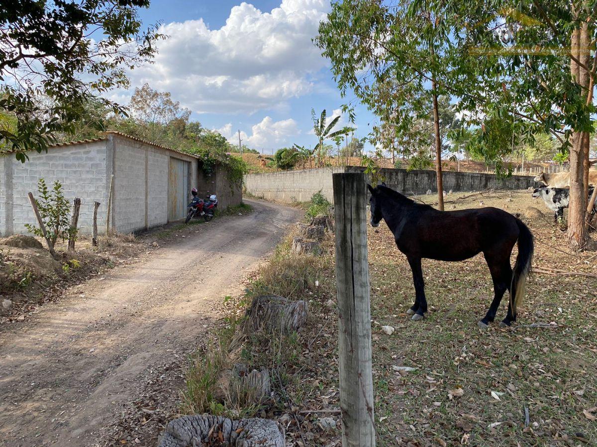 WhatsApp Image 2023-09-14 at 15.26.23 (2).jpeg